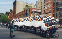 caterpillar-rides-web