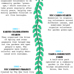 Community Garden Timeline Pt. 1