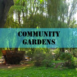 exhibits-community-gardens