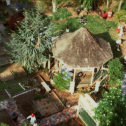 Photo of Green Oasis from MoRUS Archives